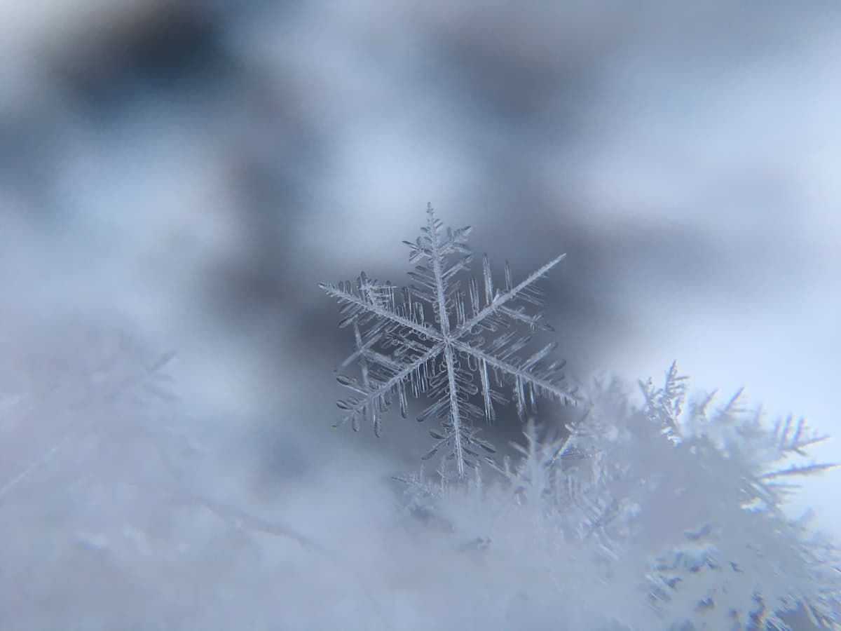 Winterlandschaft im Schwarzwald – Ski-Zunft Bernau